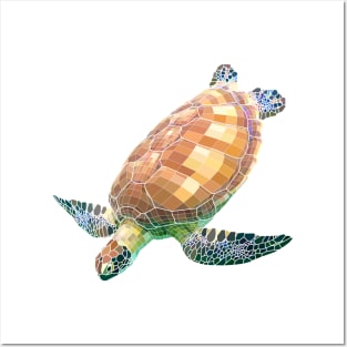 The Green Sea Turtle (Colored) Posters and Art